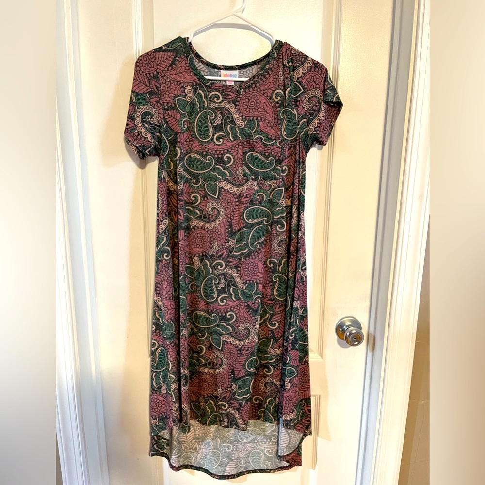 Bundle of Lularoe Swing Dresses (4)